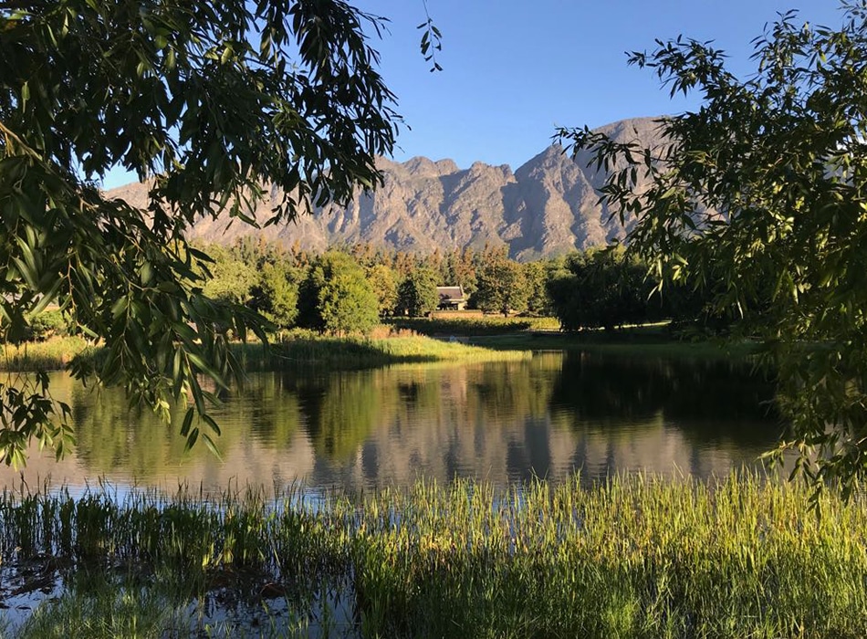 8th Sense -8th Sense Detox Retreat featured8th Sense Detox Retreat (Hosted by Longevity Magazine)Latest News